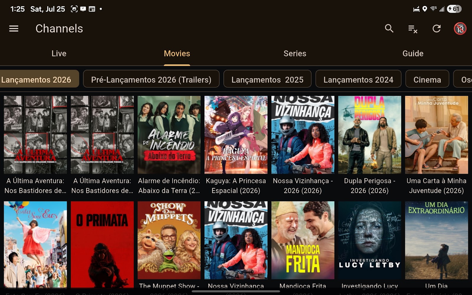 Grade de filmes organizada por categoria, com pôsteres